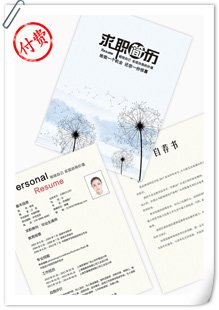 放飞梦想范简历模板
