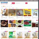 网站类型