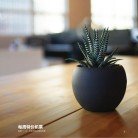 网站信息