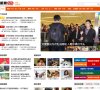 网站类型