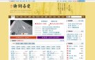 网站类型