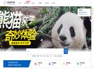 版权声明