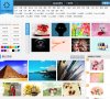 网站信息