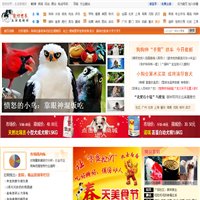 主页 > 99pet.com数据分析