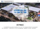 相关文章...