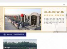"综合其他"下的所有分类：