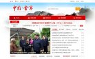 网站类型