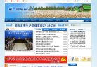版权声明