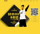网站信息