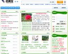 安博最新app