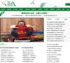 关于站长安博最新app新手怎么玩