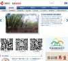 论坛综合