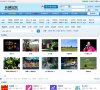 网站信息