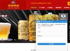 地方网站