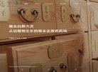 安博anbo新人权益(更新