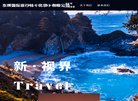 网站类型