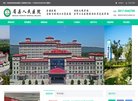 网站信息