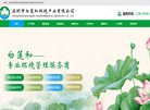 关于站长安博anbo新人权益