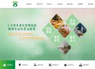 网站信息