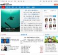 综合其他