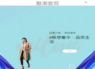 网站类型