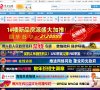 网站类型