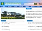 分类信息