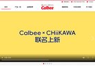 网站信息