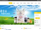 "生活服务"下的所有分类：
