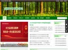 关于站长安博anbo优惠活动