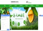 关于站长安博anbo新手怎么玩
