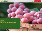 郑州市精神病防治医院（精防院）位于河