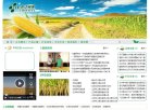 主页> 行业排名 > 地区排名 > 