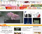 求职招聘
