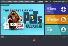 网站类型