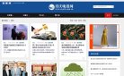 网站类型