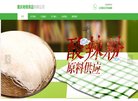 版权声明