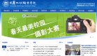 网站类型