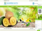 主页 > 网站总排名