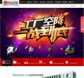 网站类型