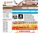 "综合其他"下的所有分类：