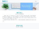 网站信息