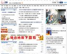 网站类型