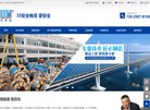 网站信息