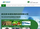 关于站长安博最新app栏目导航