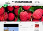 主页 > 网站总排名