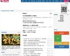 网站信息