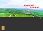 反向PR：