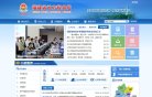 政府职能
