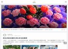 版权声明